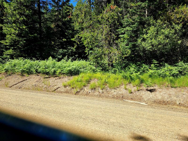 Recreation, Relaxation, Surrounded : Priest River : Bonner County : Idaho
