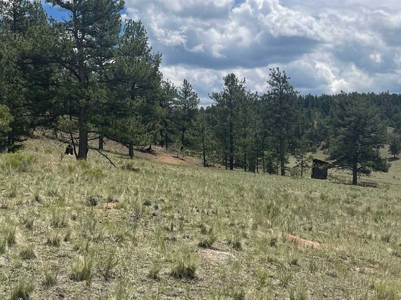 Deer Valley Development Land : Florrisant : Teller County : Colorado