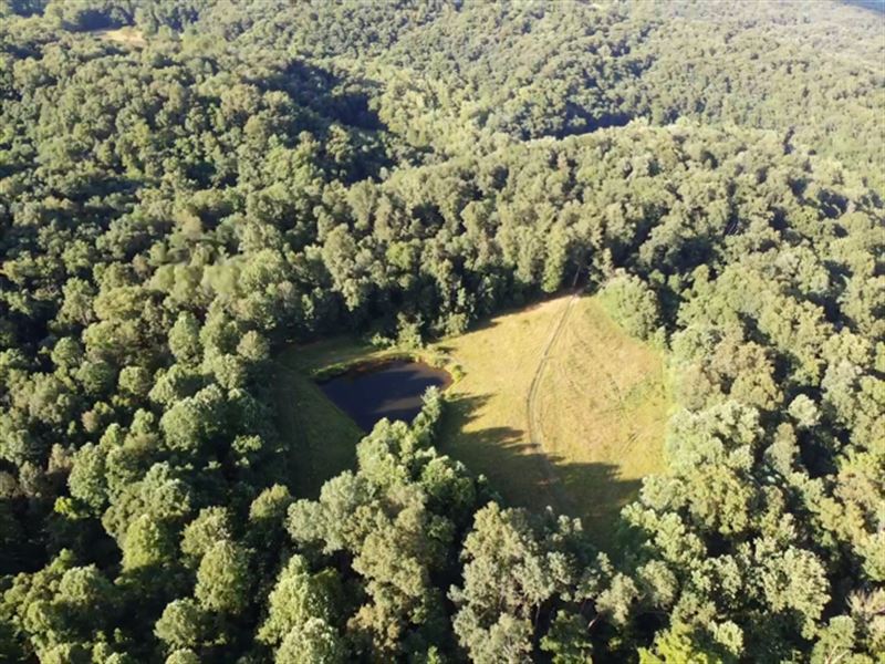 92 Acres Franklin County, Indiana : Laurel : Franklin County : Indiana