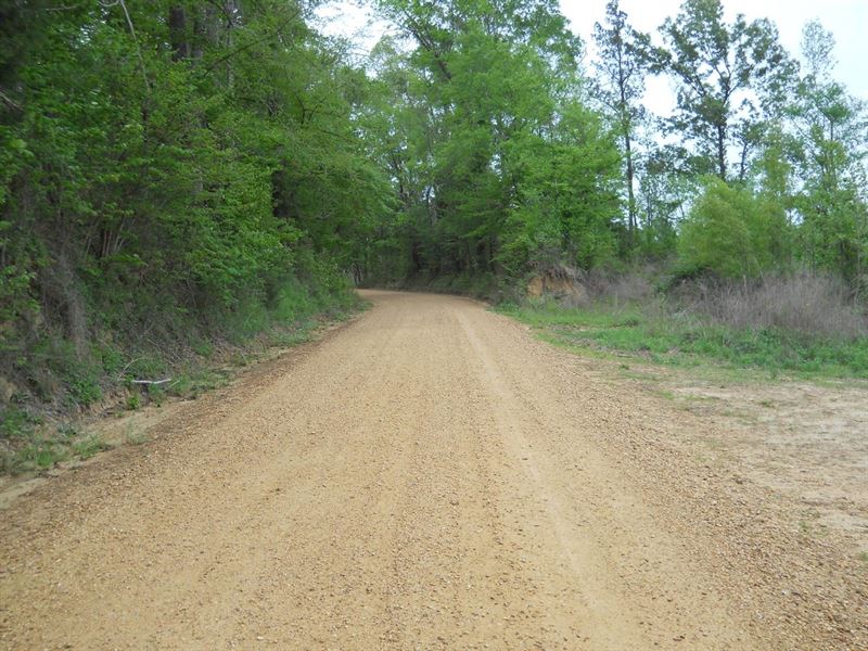 425 Acres, Jefferson County : Fayette : Jefferson County : Mississippi
