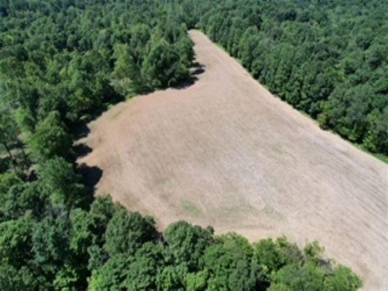 Land for Sale in Parke County, IN 6 : Rockville : Parke County : Indiana