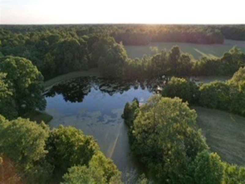 Land for Sale in Parke County, IN 5 : Rockville : Parke County : Indiana
