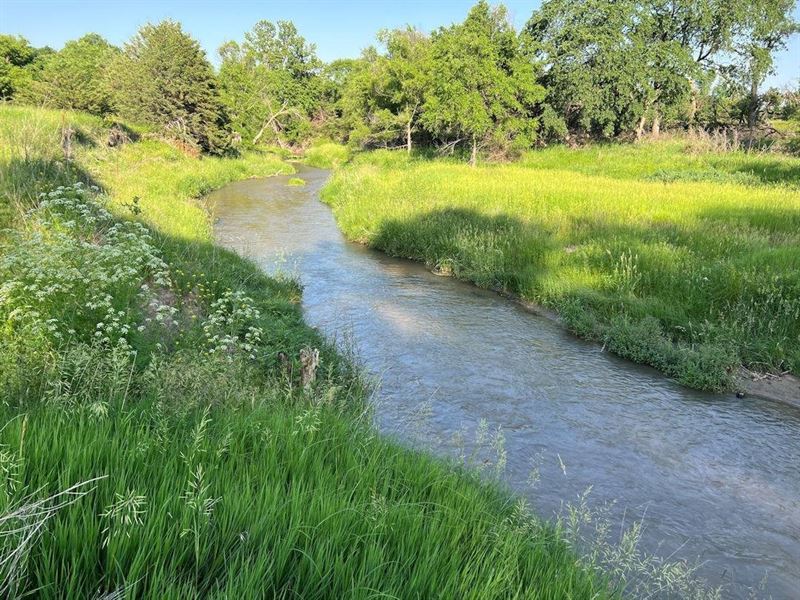 263.62 Acres Knox County, Nebras : Verdigre : Knox County : Nebraska