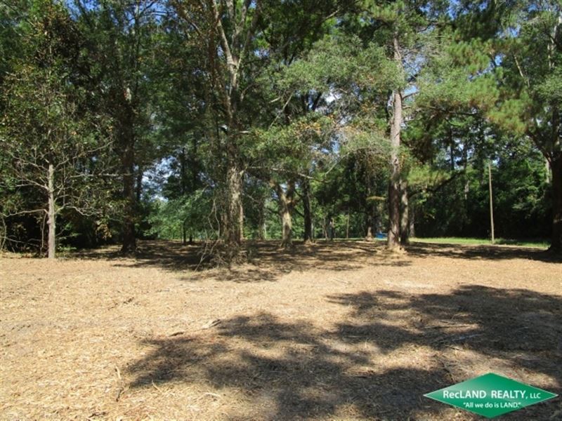 10.88 Ac, Wooded Tract For A Home : Spurger : Tyler County : Texas