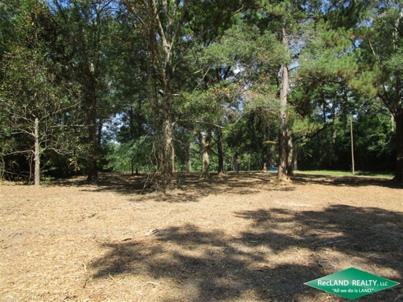 10.88 Ac, Wooded Tract for A Home : Spurger : Tyler County : Texas