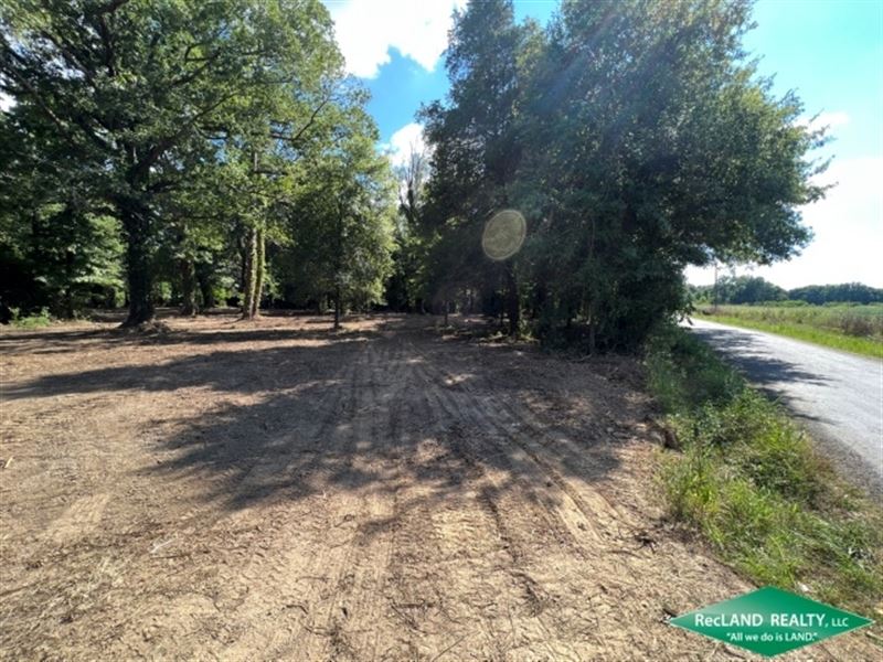 8 Ac, Wooded Tract For Home Site : Oak Grove : West Carroll Parish : Louisiana