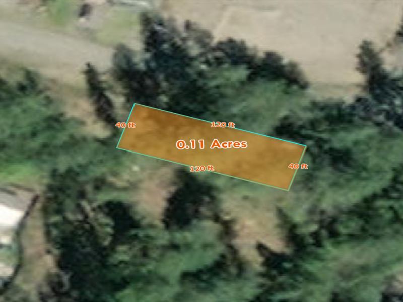 .11 Acre Lot in Allyn, WA : Allyn : Mason County : Washington