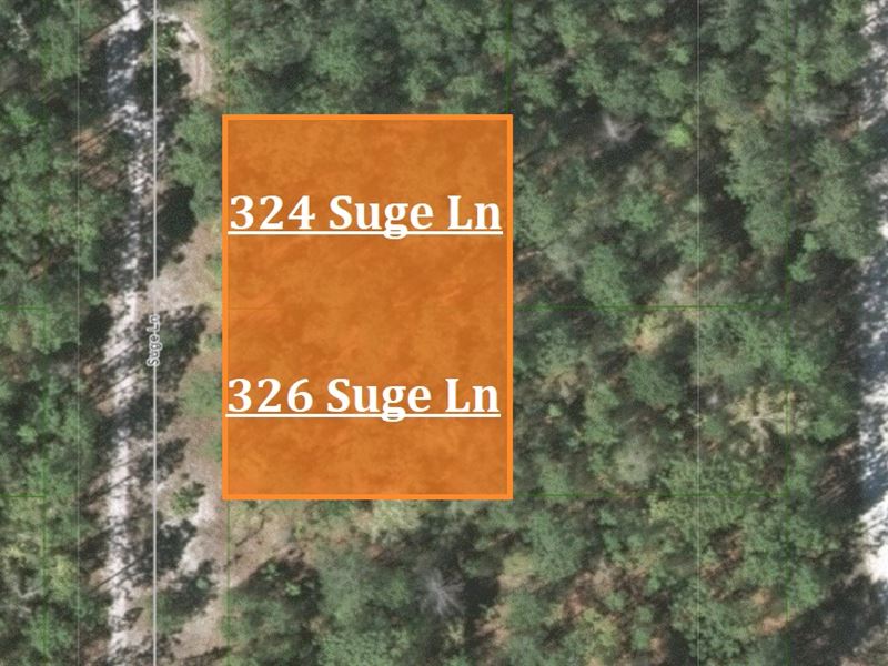 R-2 Zoned Double Lot Package : Florahome : Putnam County : Florida