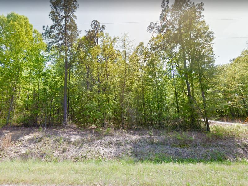 Many Options for Home, Fsbo : Saint Matthews : Calhoun County : South Carolina