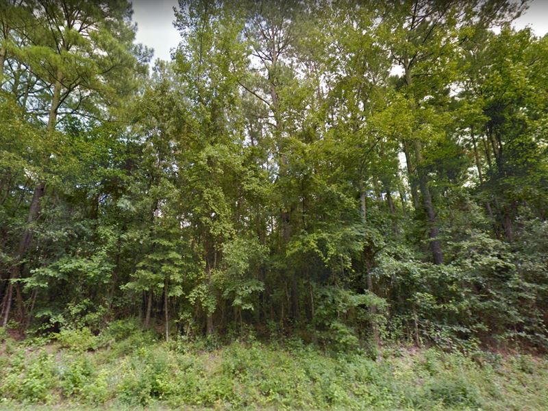 Quiet, Private Lot, Fsbo Land for Sale by Owner in Princeville