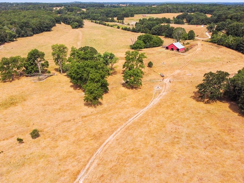 Southern Missouri Cattle Farm : Birch Tree : Shannon County : Missouri