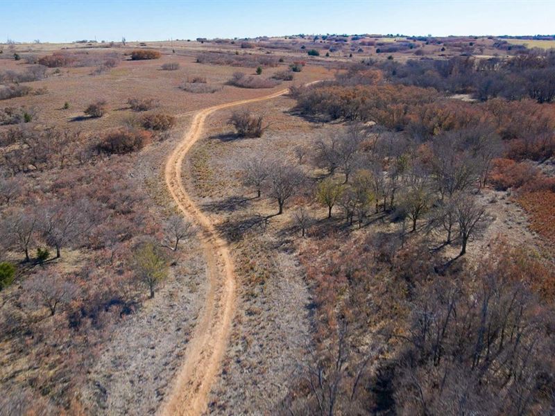 60-80 Acre Hunting Tracts in Wheele : Shamrock : Wheeler County : Texas