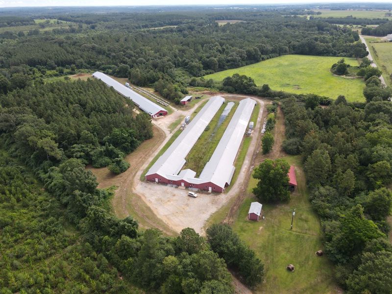 Double M Breeder Farm, Opp AL : Opp : Covington County : Alabama