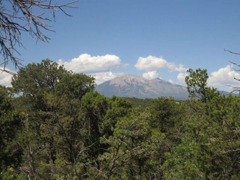 7 Blackhawk Ranch : Walsenburg : Huerfano County : Colorado