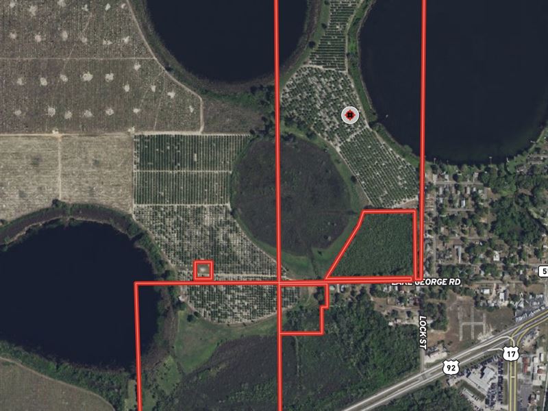 Lakefront Development Land : Lake Alfred : Polk County : Florida