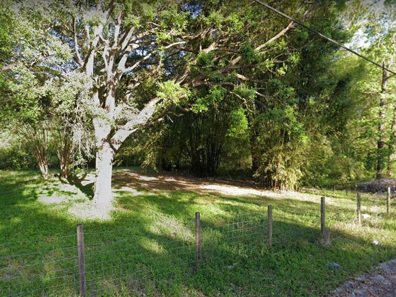 Relaxation Awaits : Middleburg : Clay County : Florida