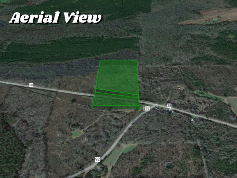Beautiful 19 Acre Lot : Akron : Hale County : Alabama