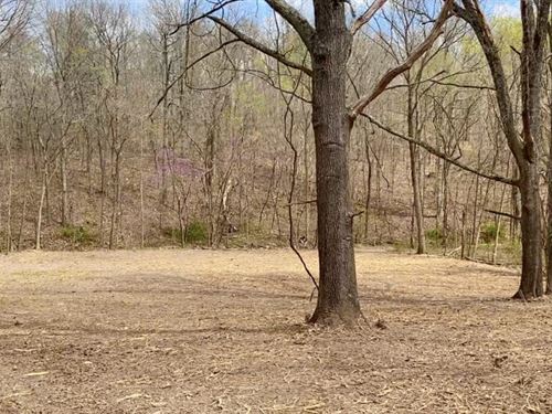 Owner Financed Land in The Ozarks : Ava : Douglas County : Missouri