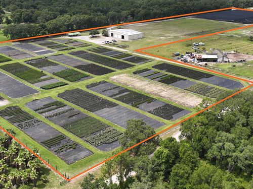 Volusia County Landscape Nursery : Deland : Volusia County : Florida