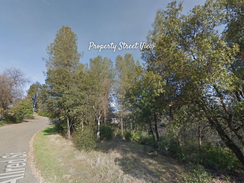 Spacious Lot in a Quiet Area : Shasta Lake : Shasta County : California