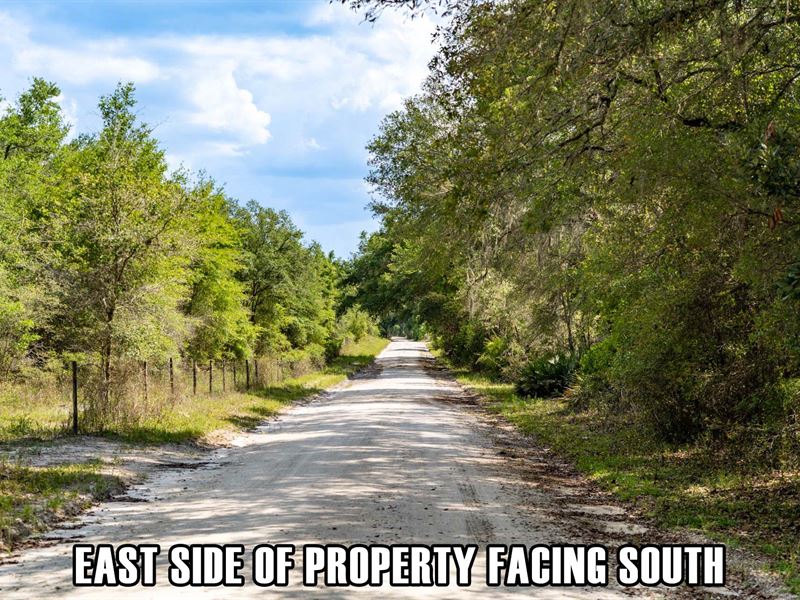 Corner Lot Just North of Old Town : Old Town : Dixie County : Florida