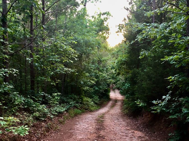 Horse Pond Tract 18 : Hohenwald : Perry County : Tennessee