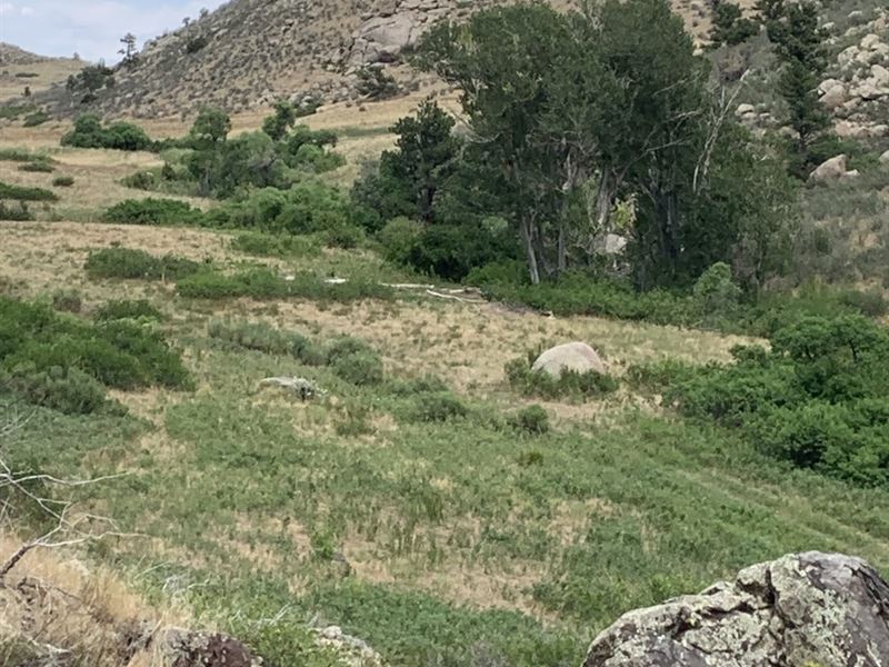 Deer Valley Lane : Livermore : Larimer County : Colorado
