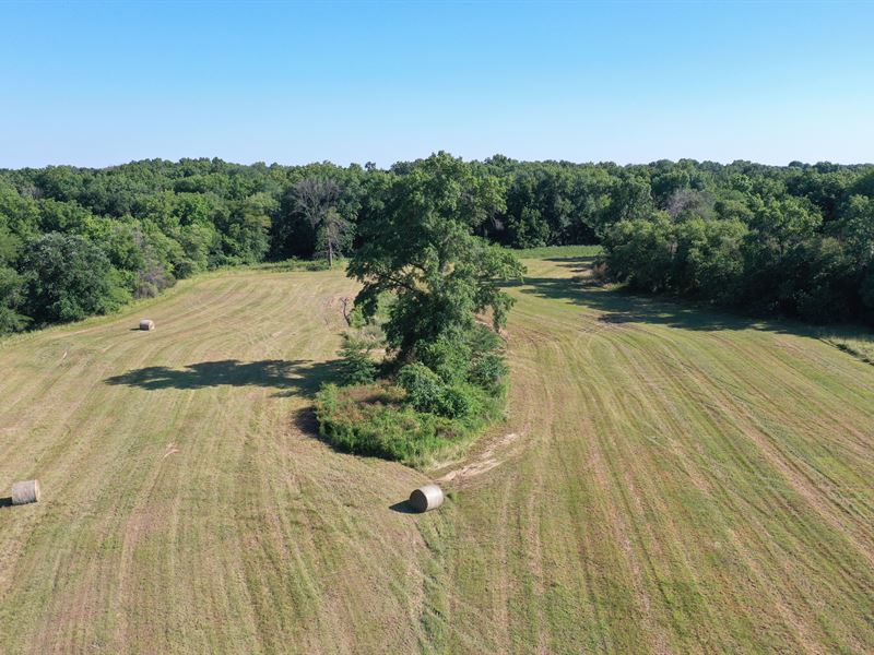 35 Acre Outdoor Paradise with Cabin : Windsor : Henry County : Missouri