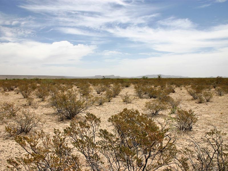 20 Acre Ranch to Call Your Own : Fort Hancock : Hudspeth County : Texas