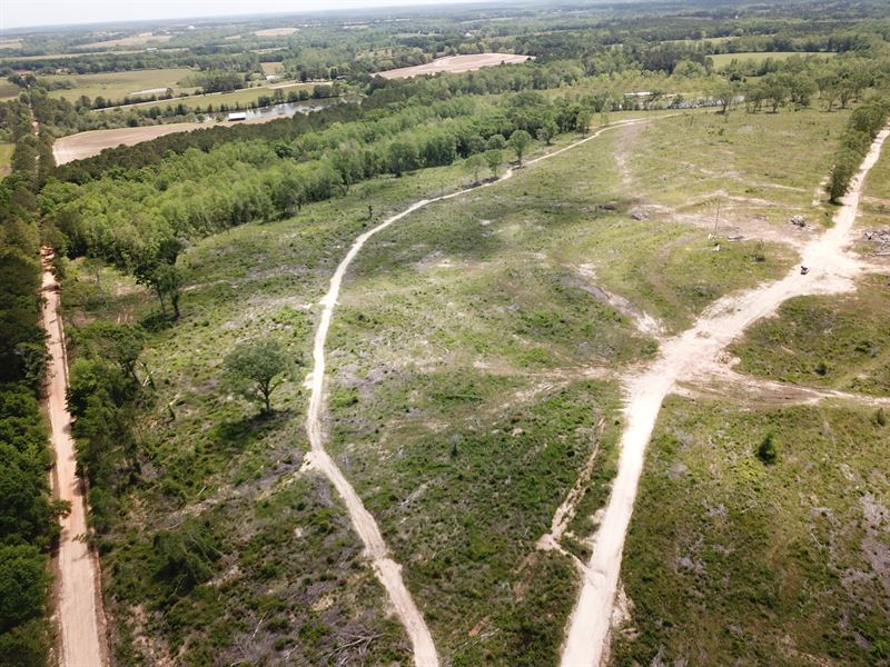 Hunting & Homesite : Fairview : Coffee County : Alabama