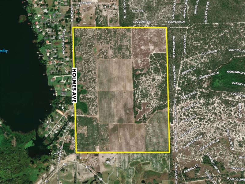 Highlands Tiki Hill Investment : Lake Placid : Highlands County : Florida