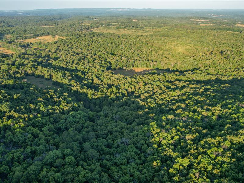 Lookout Mountain, Parcel 3 : Dora : Douglas County : Missouri