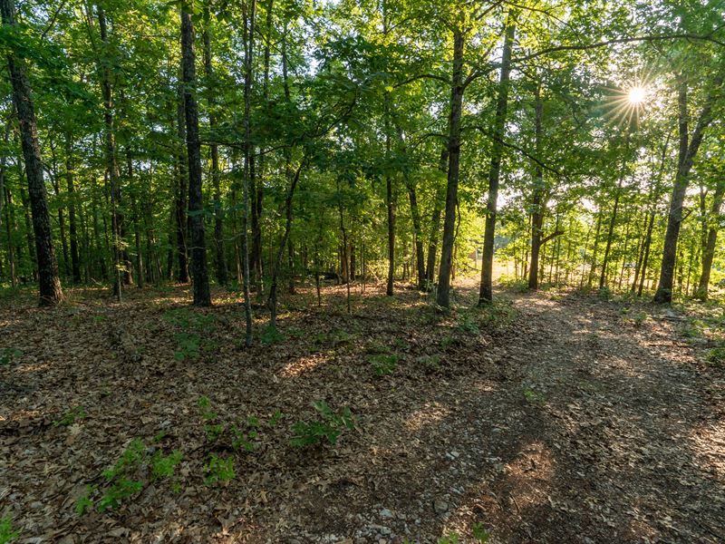 Lookout Mountain, Parcel : Dora : Douglas County : Missouri