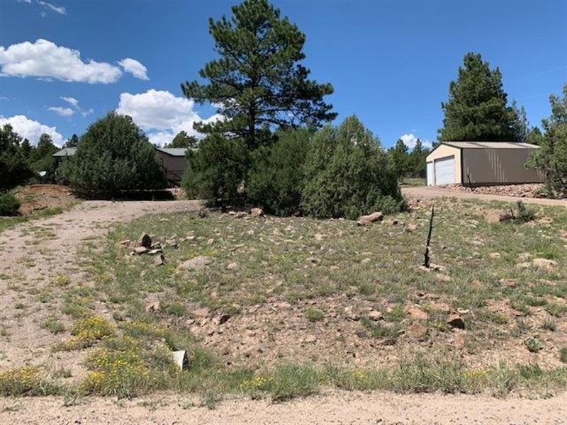 Laguna Vista Home : Los Ojos : Rio Arriba County : New Mexico
