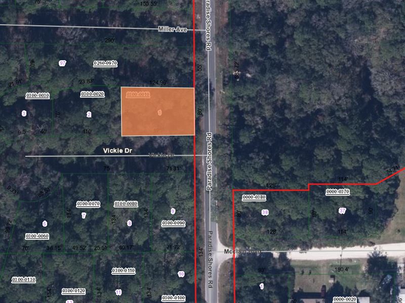 1/4 Acre in Crescent City, FL : Crescent City : Putnam County : Florida
