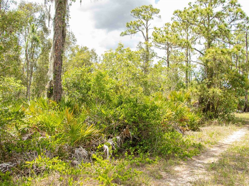 Secluded & Quiet Lot in Punta Gorda : Punta Gorda : Charlotte County : Florida