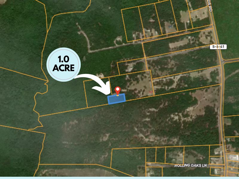 Opportunity To Grow Equity : Blackville : Barnwell County : South Carolina