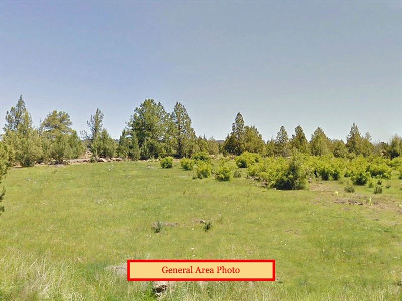 34.25 Acres in Klamath County, OR : Bonanza : Klamath County : Oregon