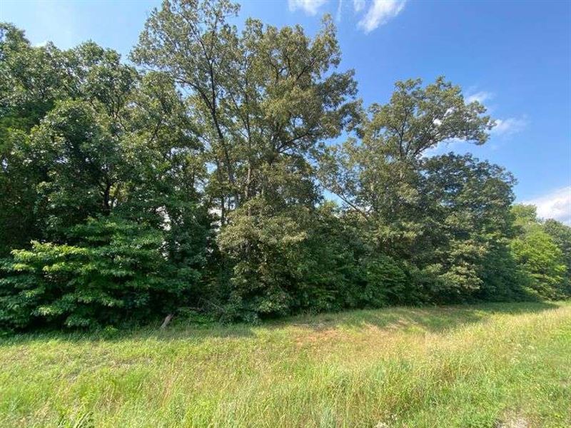Vacant Land : Murfreesboro : Rutherford County : Tennessee