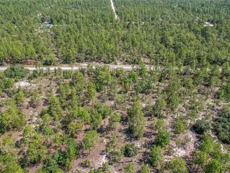 .99 Acre Lot in Dunnellon, Florida : Dunnellon : Marion County : Florida