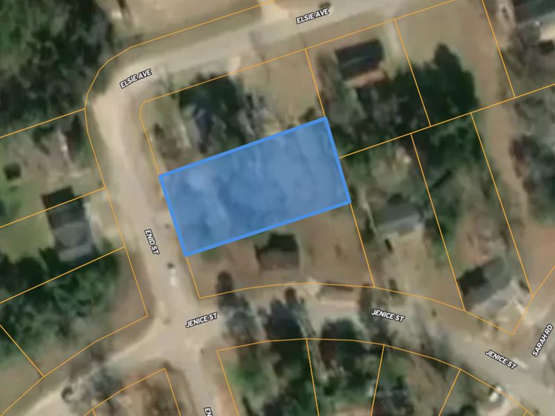 Great Building Lot : Blackville : Barnwell County : South Carolina