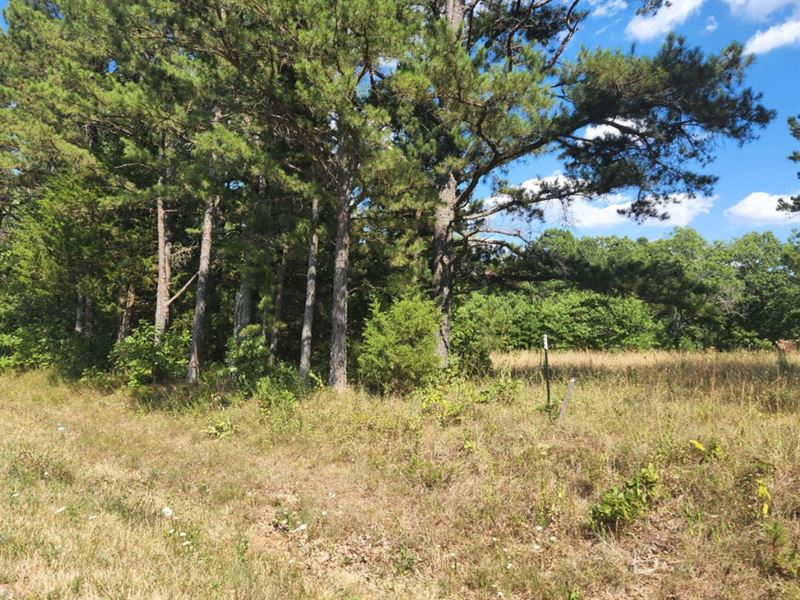 3 Ac No Restrictions, Missouri : Willow Springs : Howell County : Missouri