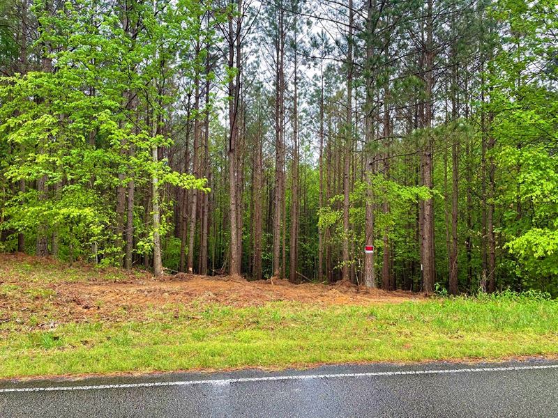 10 Acres Timber Land, Perc Tested : Henderson : Chester County : Tennessee