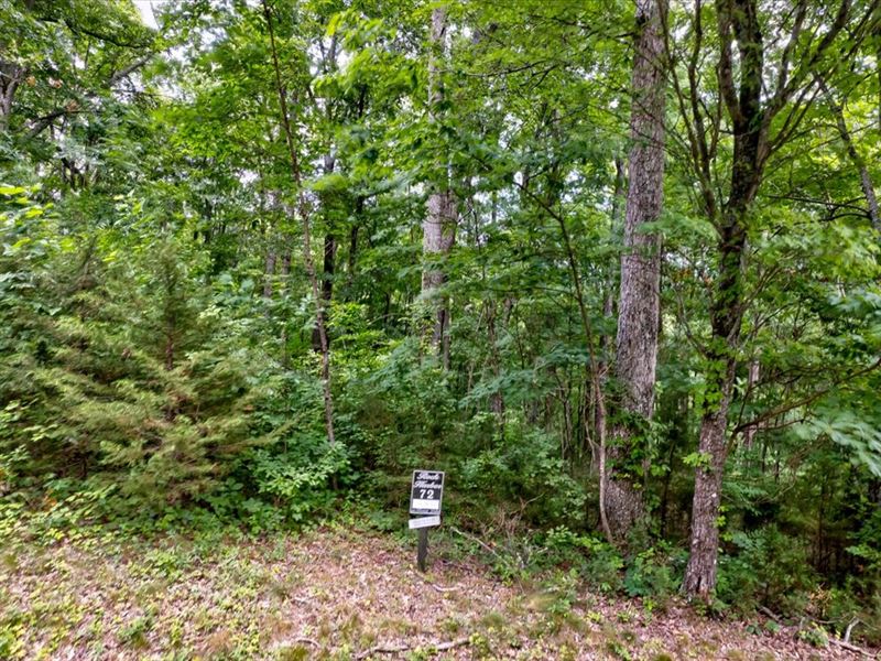 Norris Lake Access Building Lot : New Tazewell : Claiborne County : Tennessee