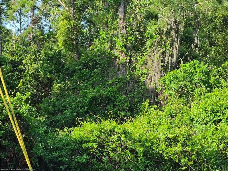 .23 Acre in Sebring, Florida : Sebring : Highlands County : Florida