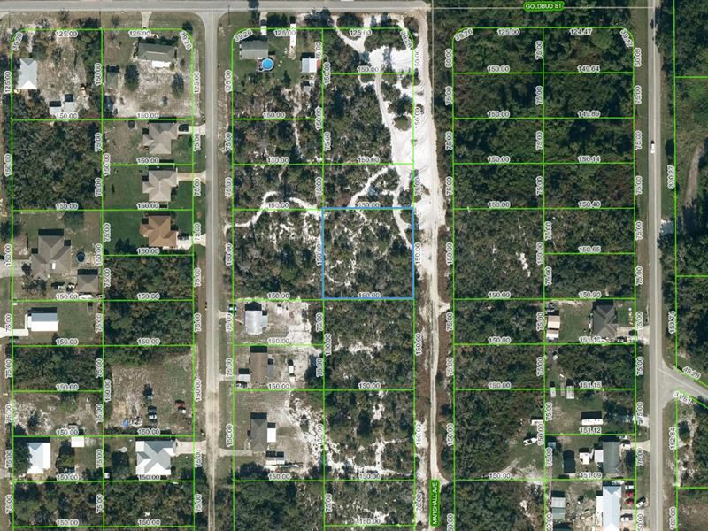 Lot Near Lake Istokpoga : Lake Placid : Highlands County : Florida