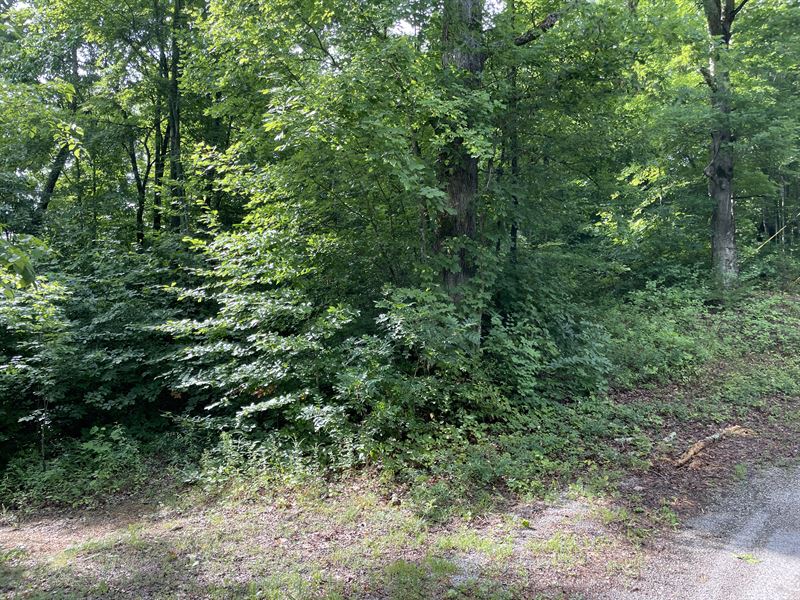 1+/- Acre Lot : Celina : Clay County : Tennessee
