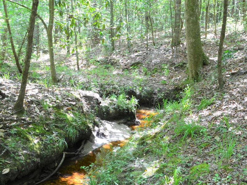 Apalachee Estates Tract 8 : Monticello : Jefferson County : Florida