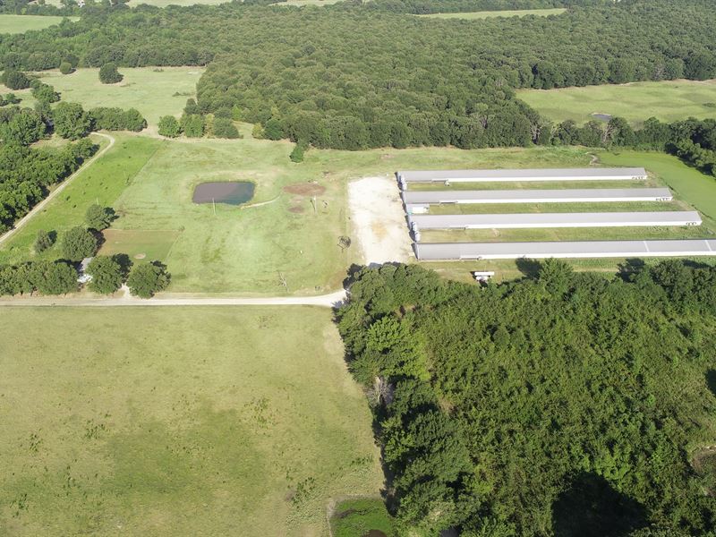 20 Acre Poultry Broiler Farm : Detroit : Red River County : Texas