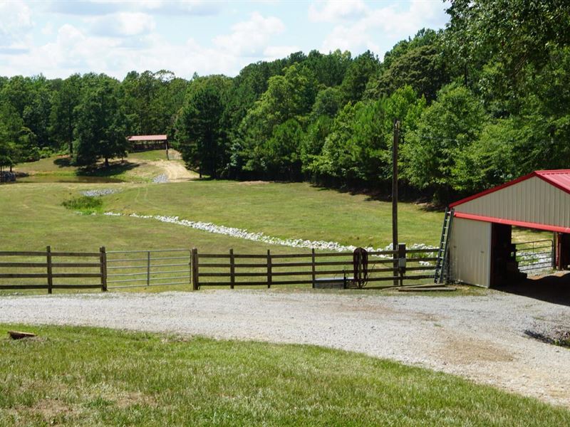 Fosters Water Ridge Rd Mini-Farm : Fosters : Tuscaloosa County : Alabama